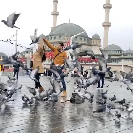 Bulunmaz Firsat Yan Yana 2 *
